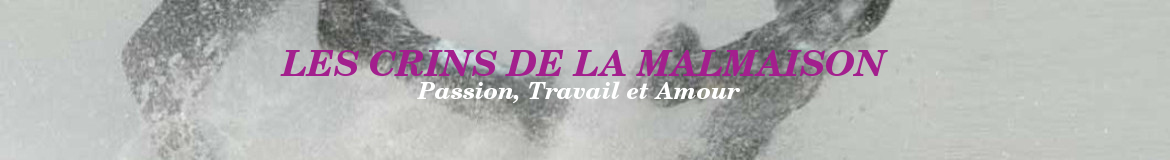 LES CRINS DE LA MALMAISON